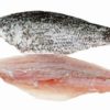 supplier fillet ikan