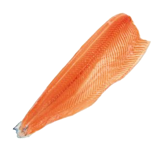 Fillet Salmon